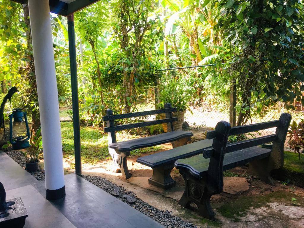Nature Park Uda Walawe Extérieur photo